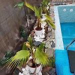 Сasa de vacaciones Golden House *