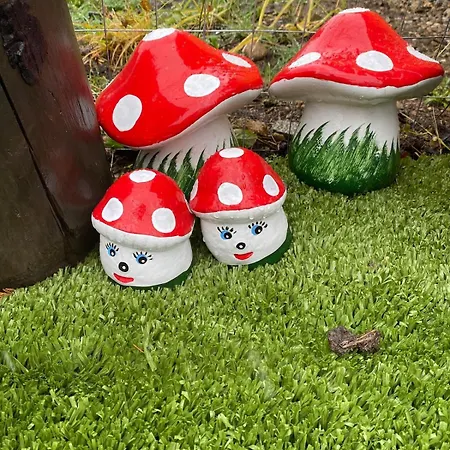 Golden House Cluj-Napoca