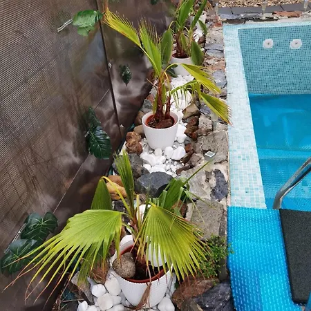 Сasa de vacaciones Golden House *