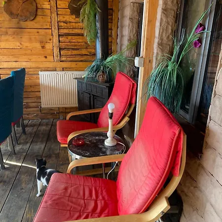 Golden House Holiday home *