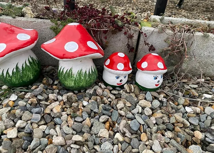 Golden House Cluj-Napoca